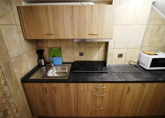 Проживание в семье U Huberta *