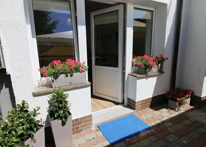 Проживание в семье U Huberta